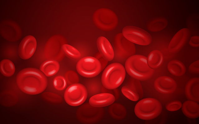 発毛サイクルが乱れ、薄毛が進行するのは血行不良も原因の一つです。