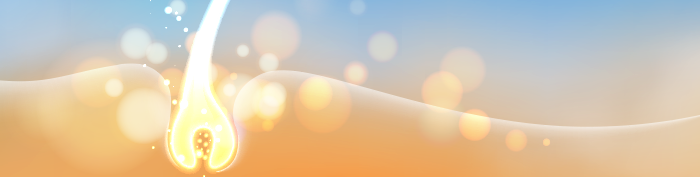 発毛サイクルとは？抜け毛の改善方法やヘアサイクルについて